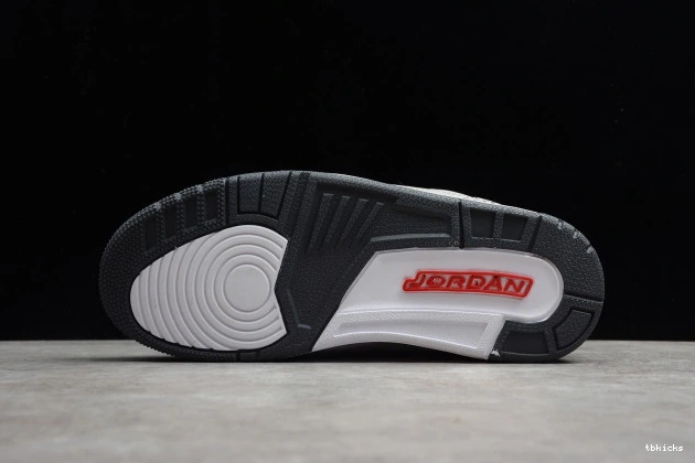 Reps TBK Grey CT8532-012 Retro Cool 3 Air Jordan (2021) 0812
